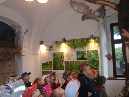 Bartosovice1.roc. (31)